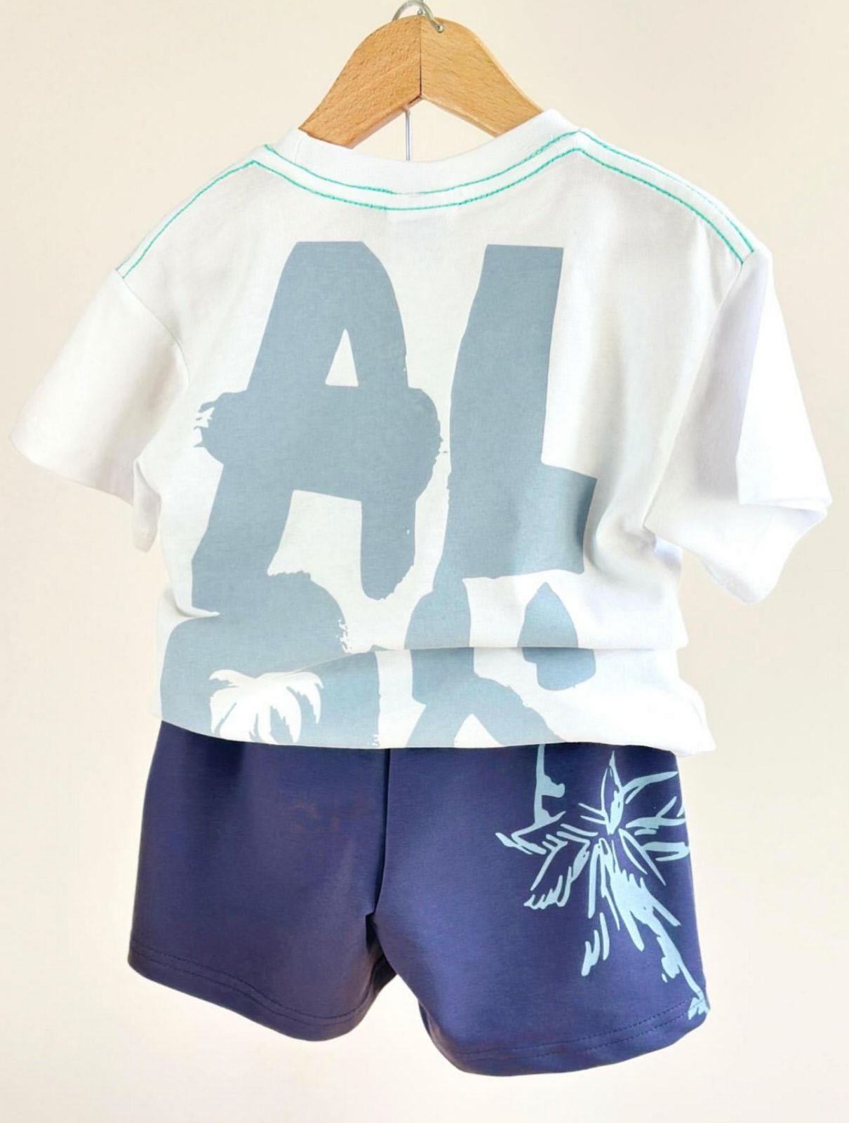 Boy’s Tropical “Aloha” Palm Tree T-shirt & Shorts Set