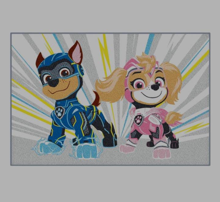 Paw Patrol small carpet image 0
