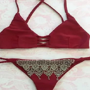 Cherrywood Lace Panel Cami Bikini Set image 0