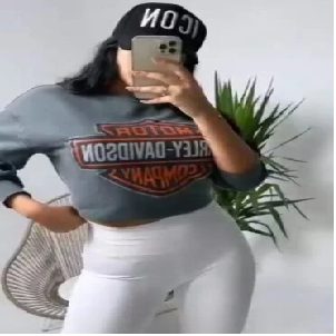 Motor Harley Davidson Sweater- Grey image 0