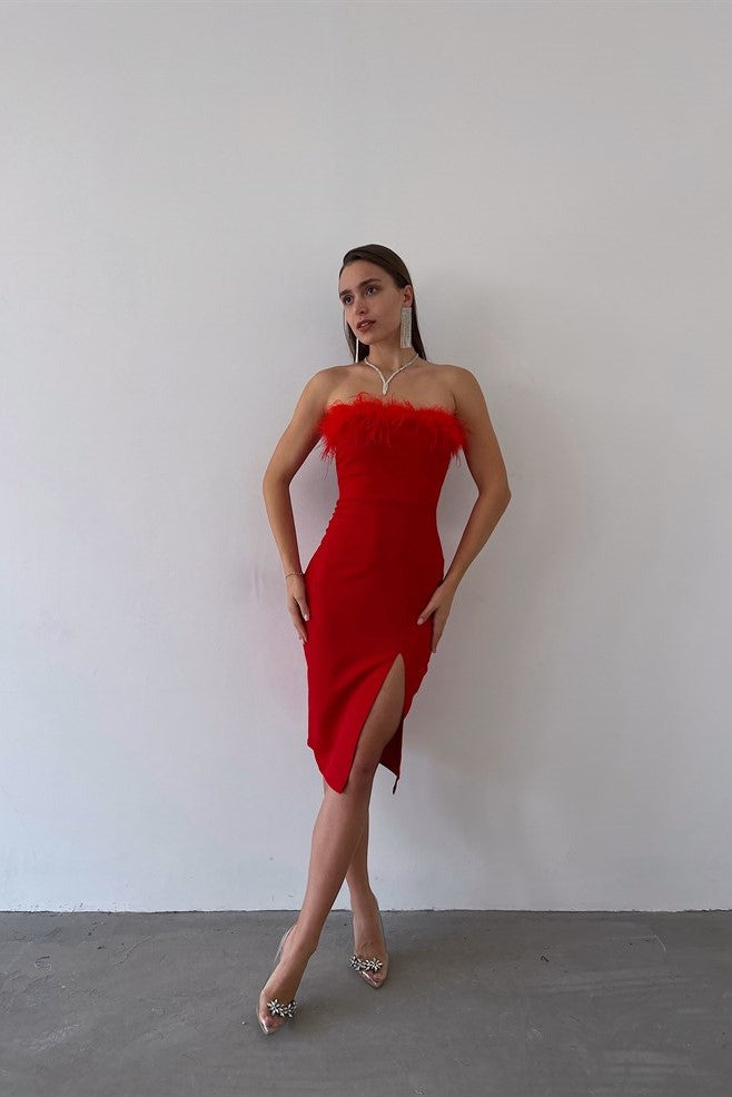 Red Midi Dress With Feathers image 1