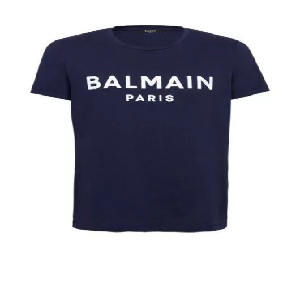 Balmain Paris Navy Logo Tshirt image 0