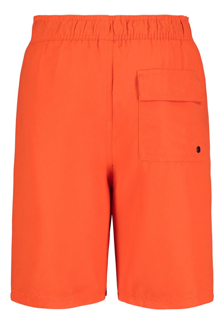 Calvin Klein Swim Big Boys Ombre Logo Swim Trunks image 3