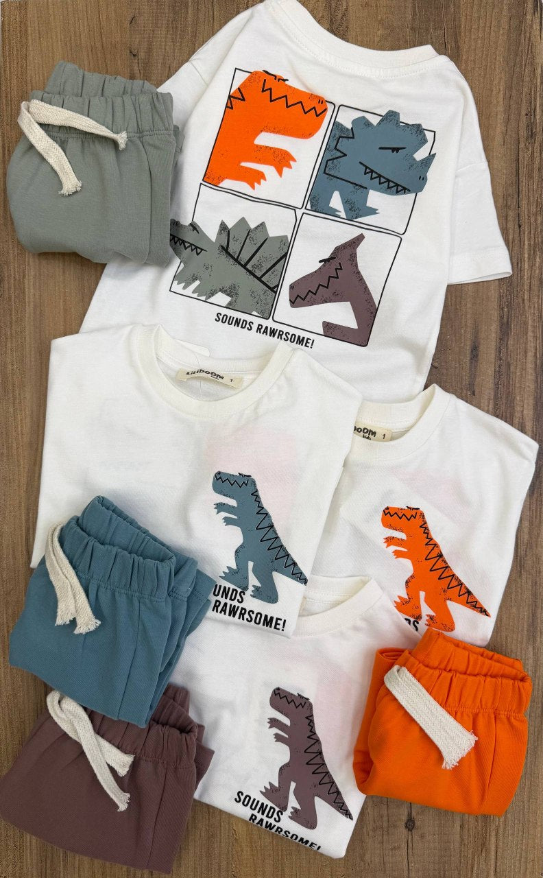 Dinosaur Print Short Sleeve T-Shirt and Matching Shorts