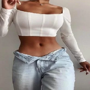 Long Sleeve Corset Top image 0