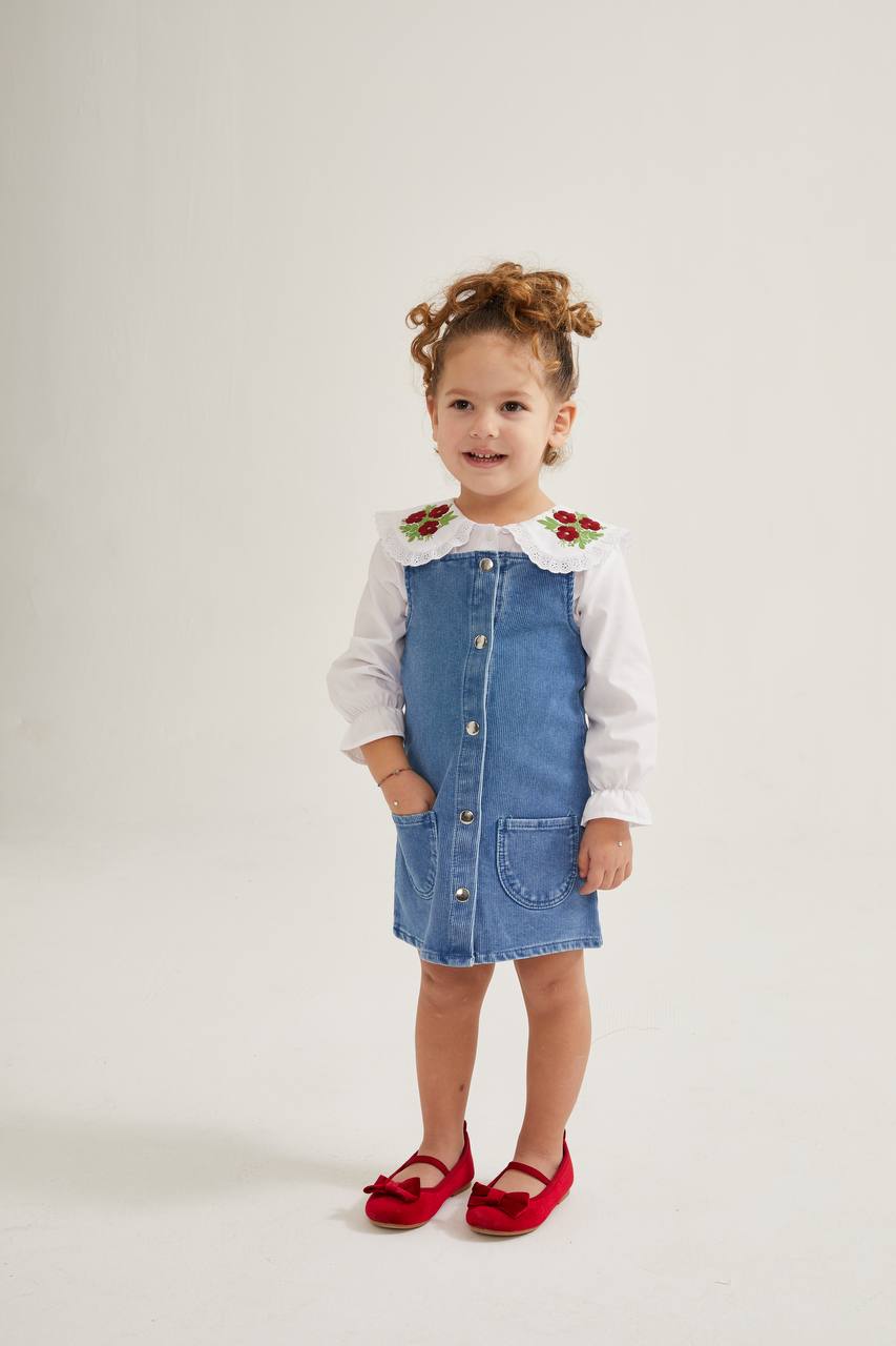 Girls dresses denim with embroidered shirt image 0