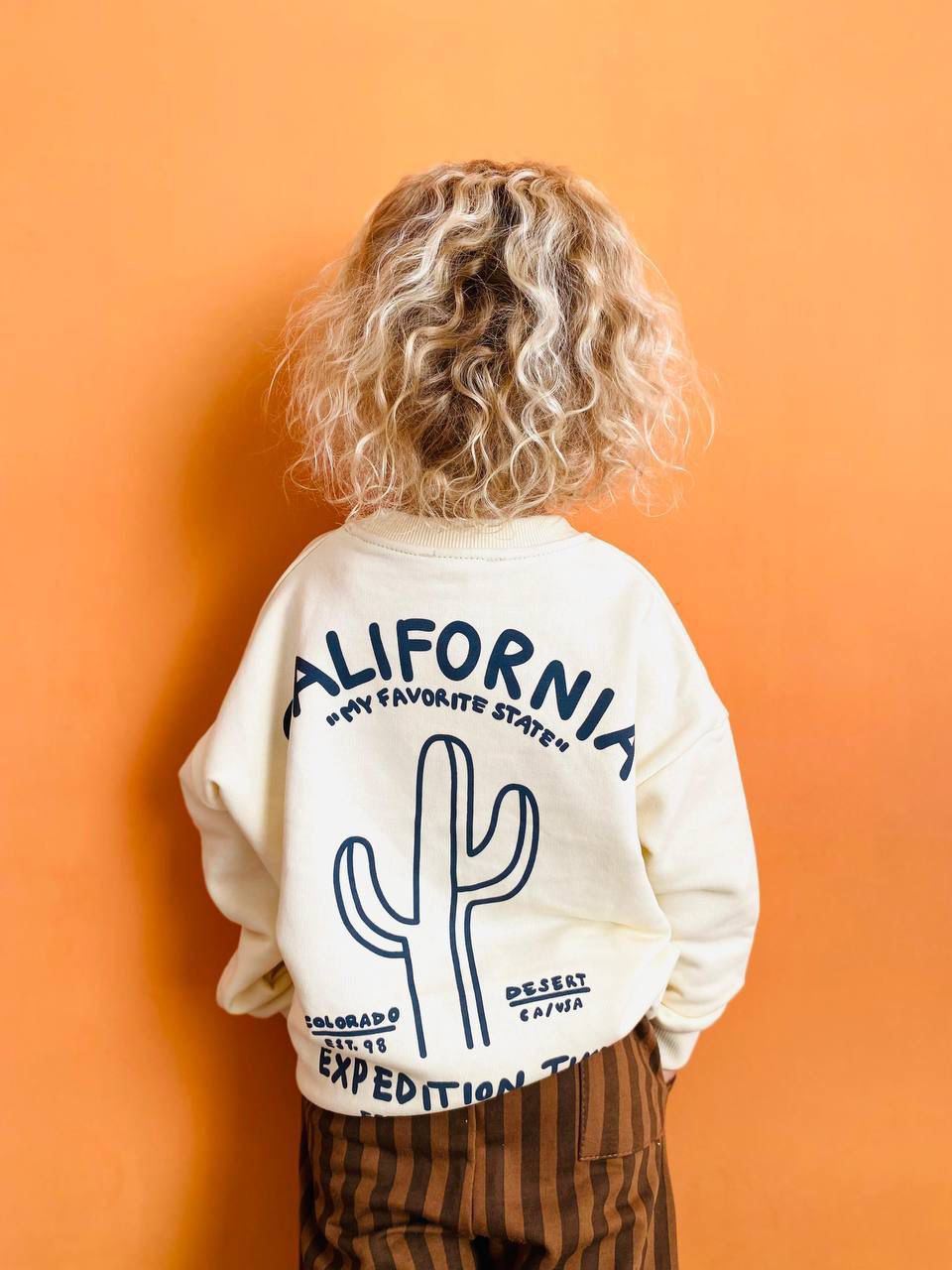 La’ciel Boys’ Two Piece Set- Cream Colored Sweater and Brown Pants with Vertical Stripes image 0